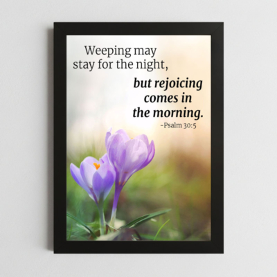 Psalms 30:5 Wall Art